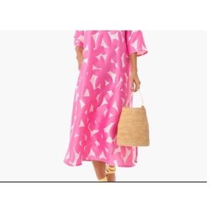 Hard to find! Tuckernuck Dress